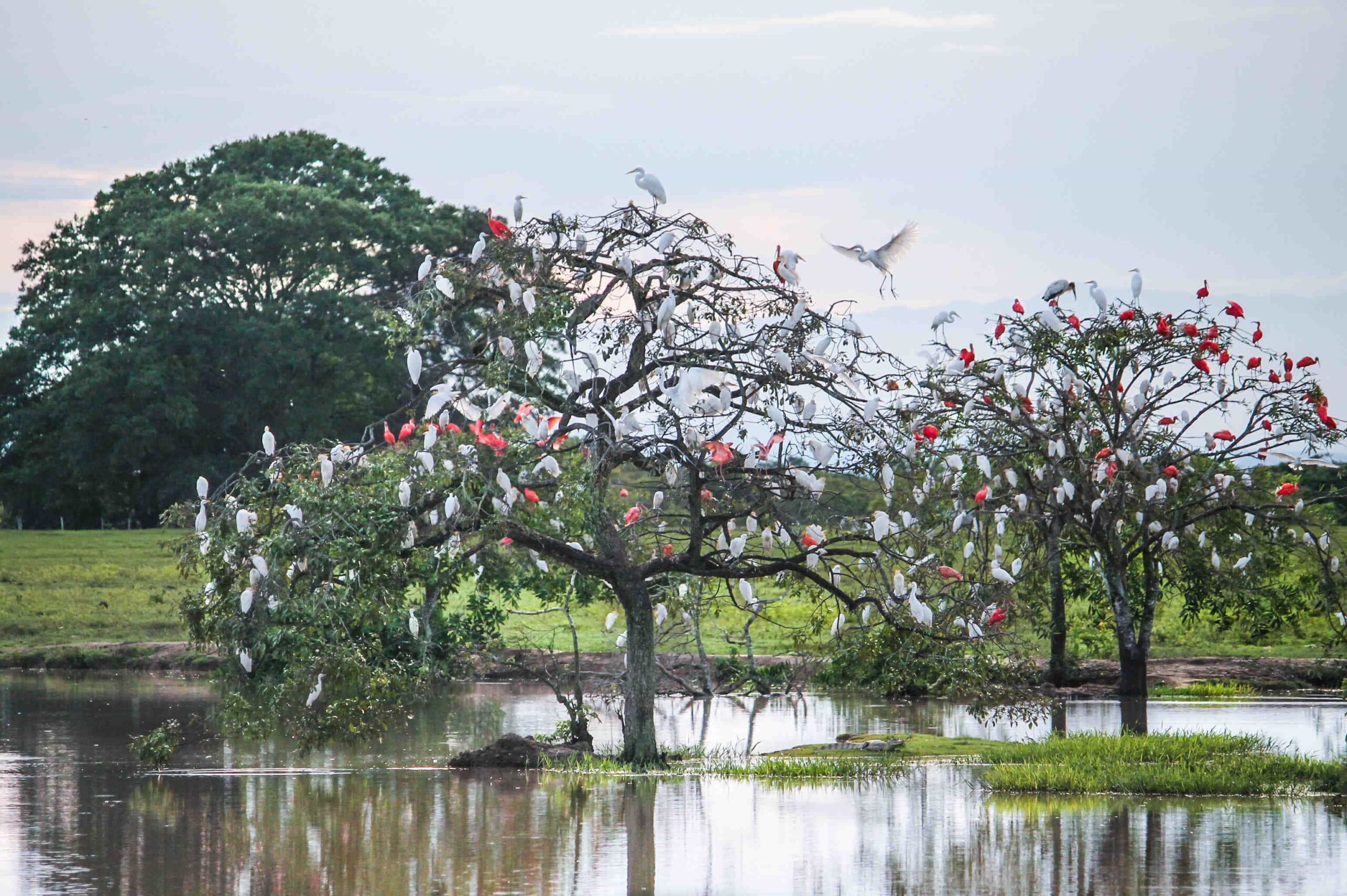 Día 5 (10 de Febrero): Última Oportunidad para Avistar Fauna 🌄