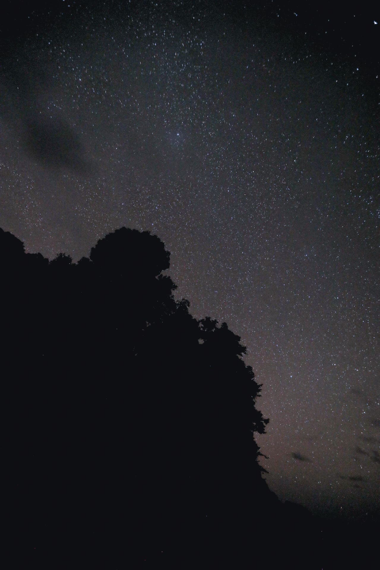 VELITAS EN EL CHOCÓ